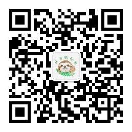 好奇的树懒
