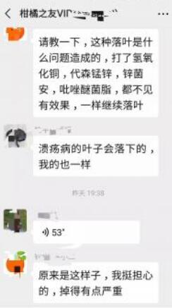 柑橘种植微信交流群